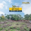 Desirable 10 Katha Land in Sector 10, Rajuk Purbachal